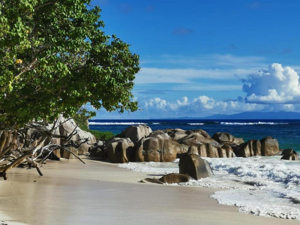 Awesome Charlie D Villas Anse Kerlan  Exterior photo